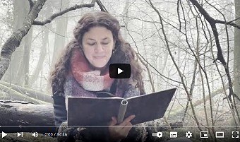 Video Lesung Nicole Djandji-Stahl: Das kalte Herz