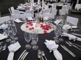 Zurück in Winterthur: FREISTIL im Restaurant Strauss