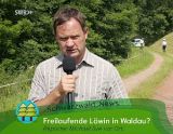 FREISTIL Spieler bei